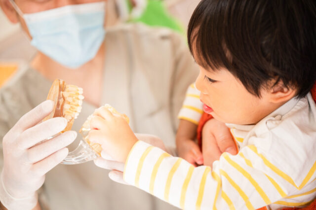 “虫歯ゼロ”を目指す予防プログラム